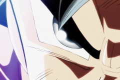 Dragon Ball Super Épisode 116 (155)
