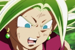Dragon Ball Super Épisode 116 (156)