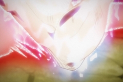 Dragon Ball Super Épisode 116 (170)
