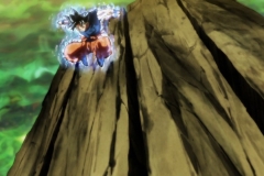 Dragon Ball Super Épisode 116 (176)