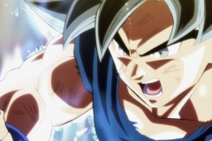 Dragon Ball Super Épisode 116 (178)