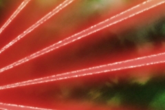 Dragon Ball Super Épisode 116 (180)