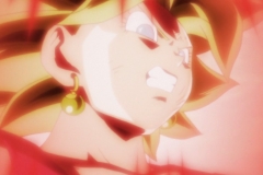 Dragon Ball Super Épisode 116 (192)