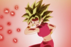 Dragon Ball Super Épisode 116 (193)