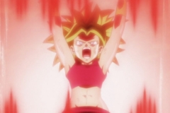 Dragon Ball Super Épisode 116 (194)