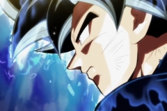 Dragon Ball Super Épisode 116 (196)