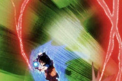 Dragon Ball Super Épisode 116 (202)