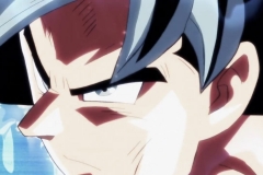 Dragon Ball Super Épisode 116 (203)