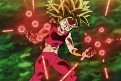Dragon Ball Super Épisode 116 (206)
