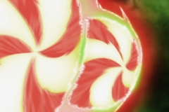 Dragon Ball Super Épisode 116 (212)