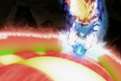 Dragon Ball Super Épisode 116 (215)