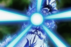 Dragon Ball Super Épisode 116 (220)
