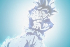 Dragon Ball Super Épisode 116 (221)