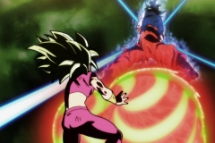 Dragon Ball Super Épisode 116 (224)