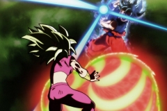 Dragon Ball Super Épisode 116 (225)