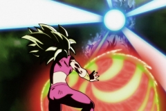 Dragon Ball Super Épisode 116 (226)