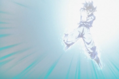 Dragon Ball Super Épisode 116 (227)
