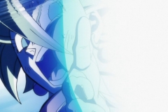 Dragon Ball Super Épisode 116 (229)