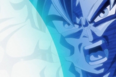 Dragon Ball Super Épisode 116 (230)