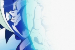 Dragon Ball Super Épisode 116 (233)