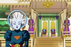Dragon Ball Super Épisode 116 (238)