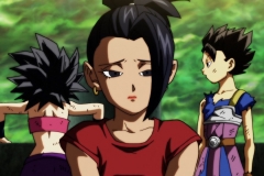 Dragon Ball Super Épisode 116 (242)