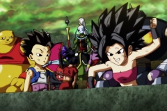 Dragon Ball Super Épisode 116 (243)