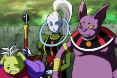 Dragon Ball Super Épisode 116 (245)