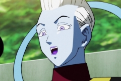 Dragon Ball Super Épisode 116 (248)