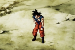 Dragon Ball Super Épisode 116 (259)