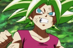 Dragon Ball Super Épisode 116 (77)