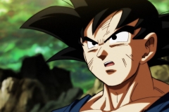Dragon Ball Super Épisode 120 (10)