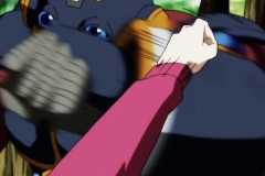 Dragon Ball Super Épisode 120 (109)