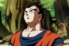 Dragon Ball Super Épisode 120 (11)