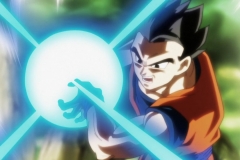 Dragon Ball Super Épisode 120 (228)