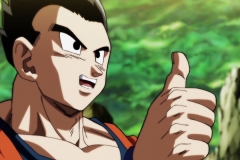 Dragon Ball Super Épisode 120 (244)