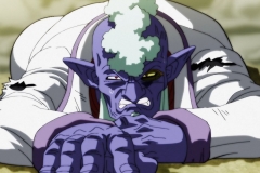 Dragon Ball Super Épisode 120 (246)