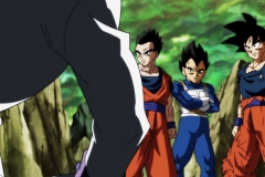Dragon Ball Super Épisode 120 (249)