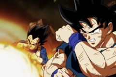 Dragon Ball Super Épisode 120 (26)