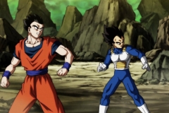 Dragon Ball Super Épisode 120 (28)