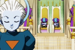 Dragon Ball Super Épisode 120 (3)