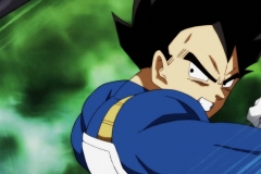 Dragon Ball Super Épisode 120 (30)
