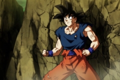 Dragon Ball Super Épisode 120 (32)