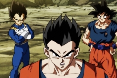 Dragon Ball Super Épisode 120 (6)