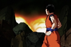 Dragon Ball Super Épisode 120 (66)