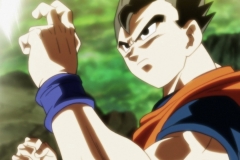 Dragon Ball Super Épisode 120 (82)