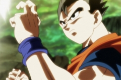 Dragon Ball Super Épisode 120 (85)