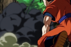 Dragon Ball Super Épisode 120 (94)