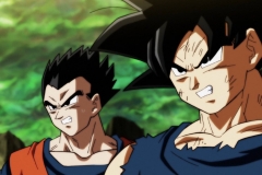 Dragon Ball Super Épisode 121 (7)
