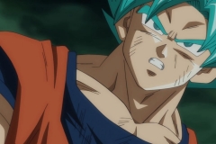 Dragon Ball Super Episode 64 – Revere Him! Praise Him! Fusion Zamasu's Explosive Birth!!-722897.mkv_snapshot_22.57_[2016.10.30_03.36.06]